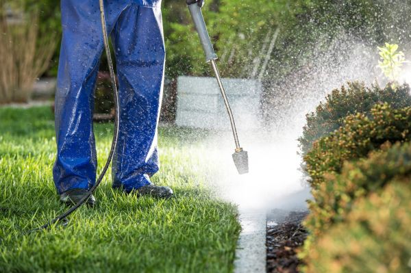 Cost of Curb Cleaning in Peoria